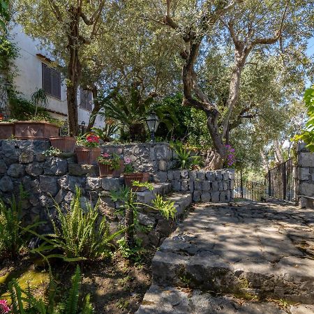 Ulivi Apt Villa Sorrento Luaran gambar