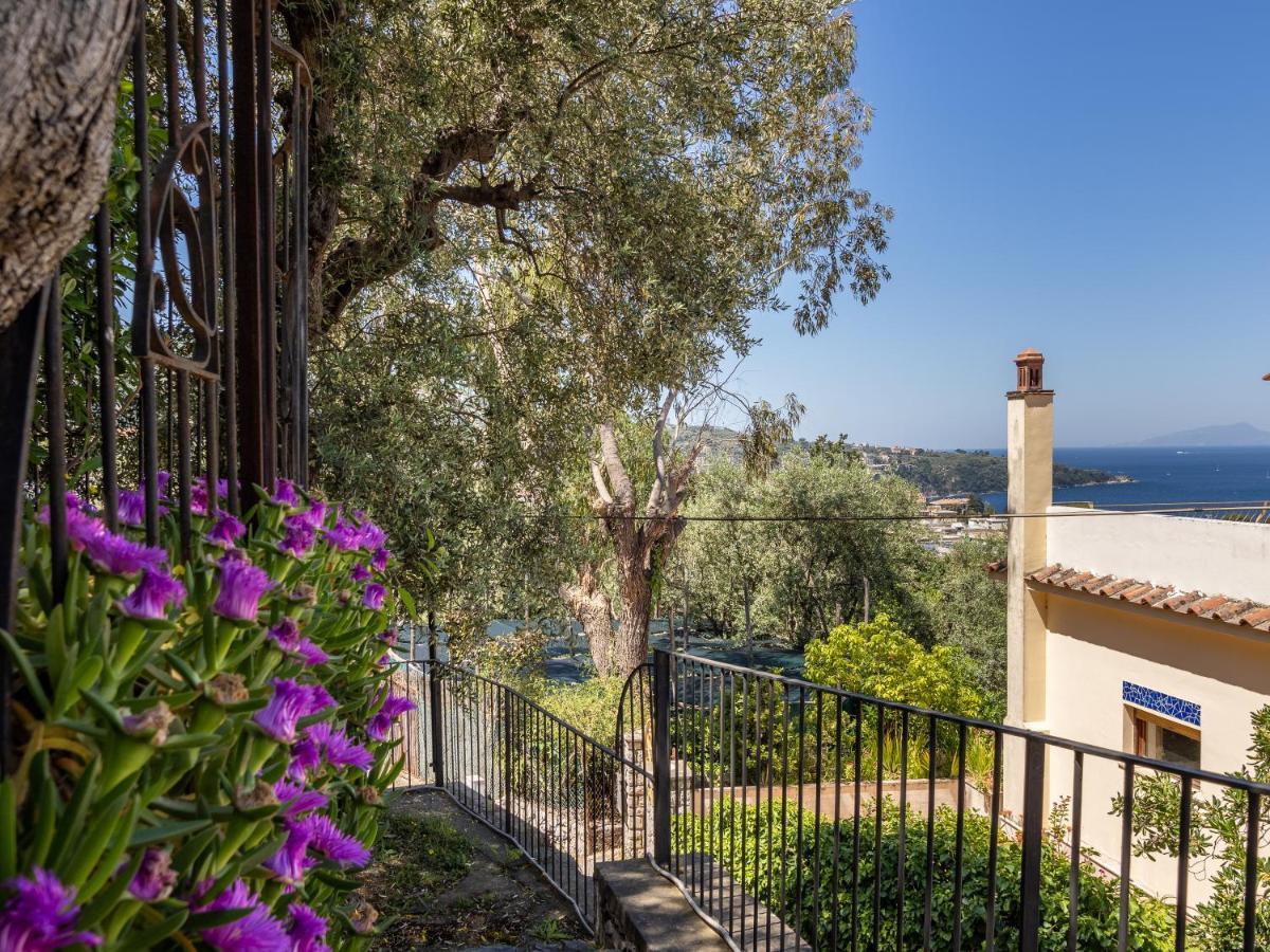 Ulivi Apt Villa Sorrento Luaran gambar