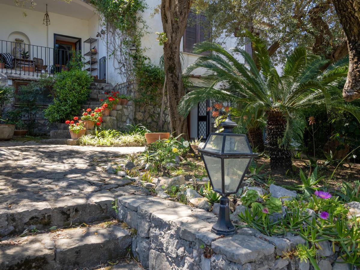 Ulivi Apt Villa Sorrento Luaran gambar