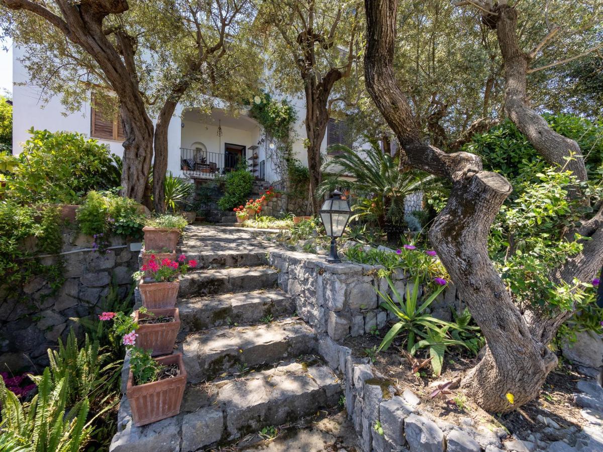 Ulivi Apt Villa Sorrento Luaran gambar