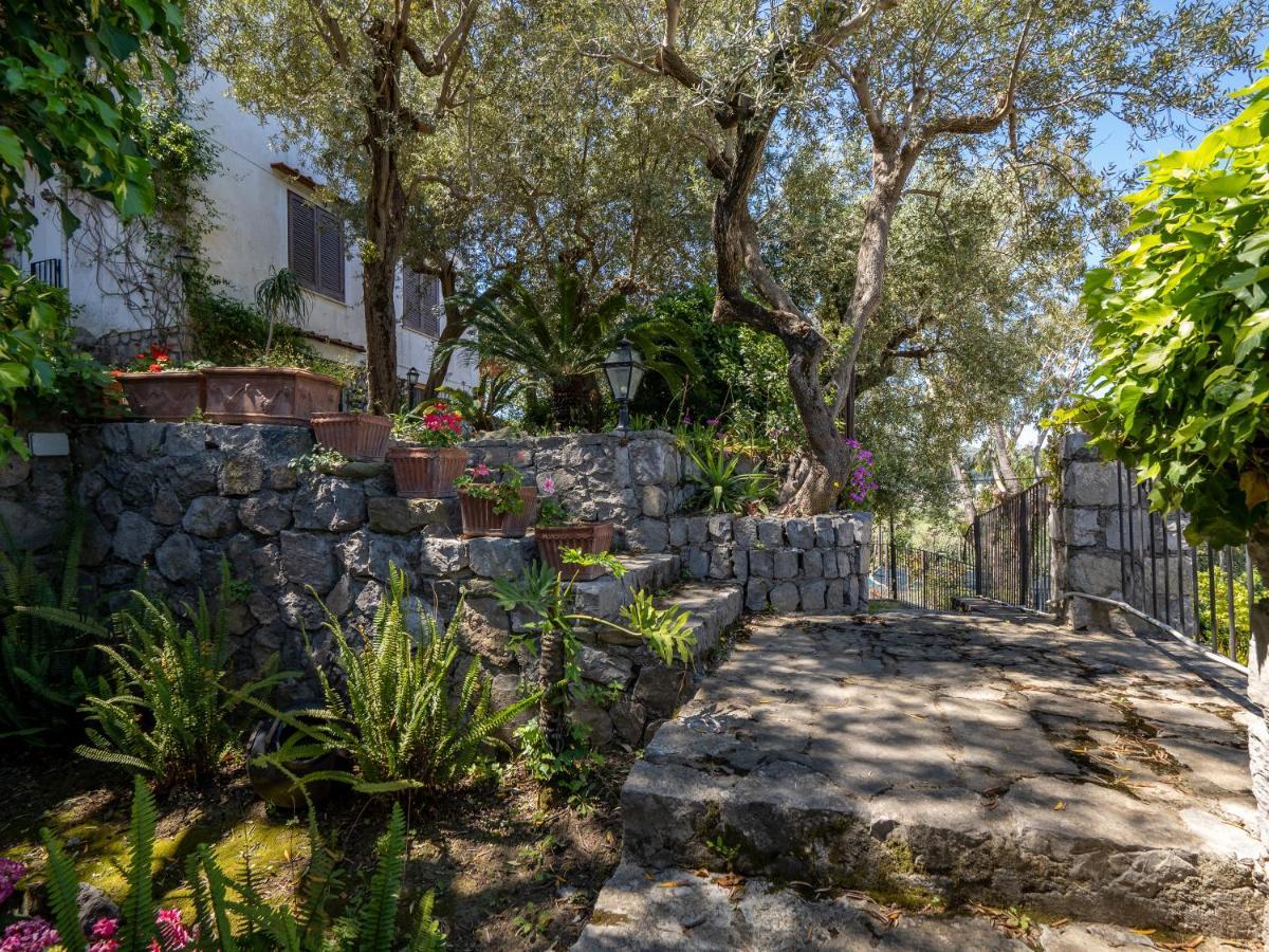 Ulivi Apt Villa Sorrento Luaran gambar